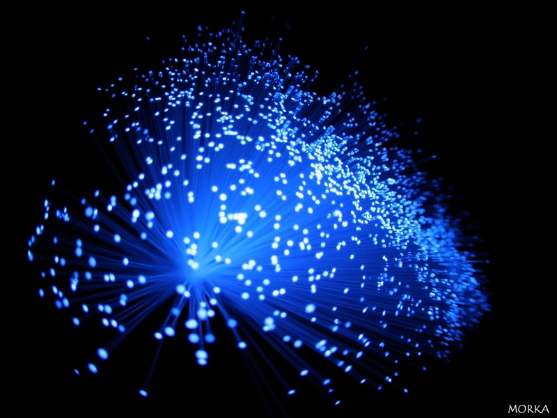 Fibre optique