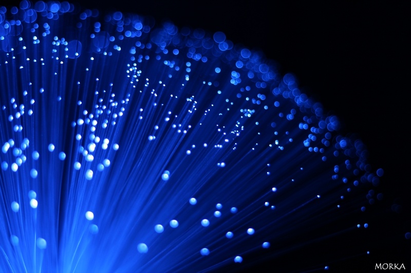 Fibre optique