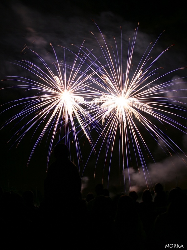 Feu d'artifice d'Ollainville 2008