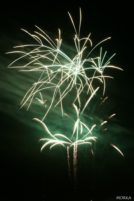 Feu d'artifice d'Ollainville 2008