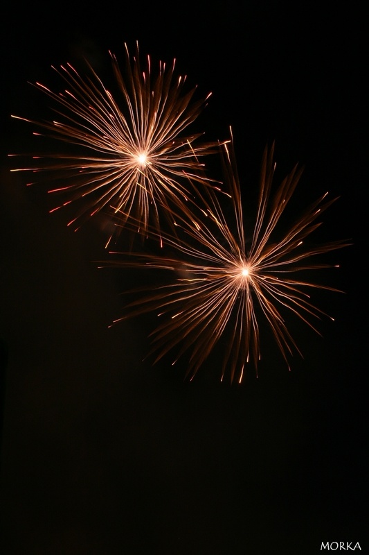 Feu d'artifice d'Arpajon 2008