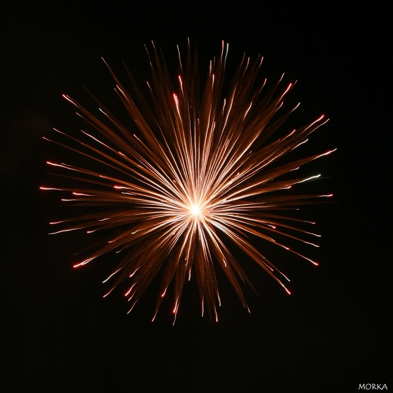 Feu d'artifice d'Arpajon 2008