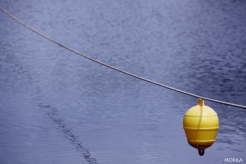 Une bouée au dessus de l'eau