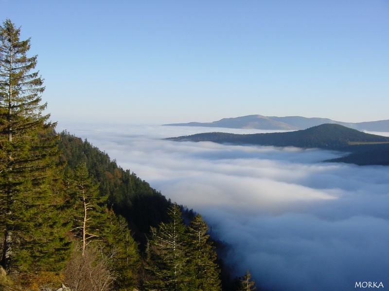 Au dessus des nuages (Alsace)