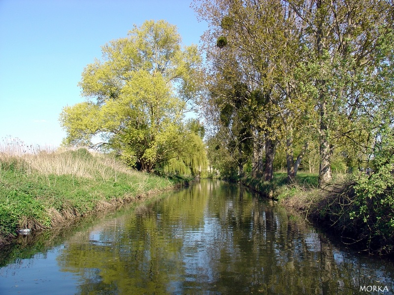 Lac d'Ollainville