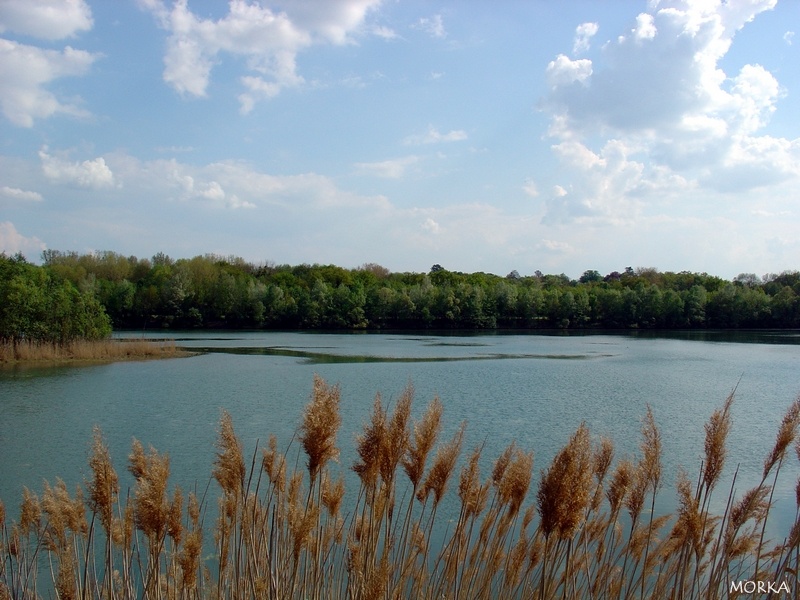 Lac d'Ollainville