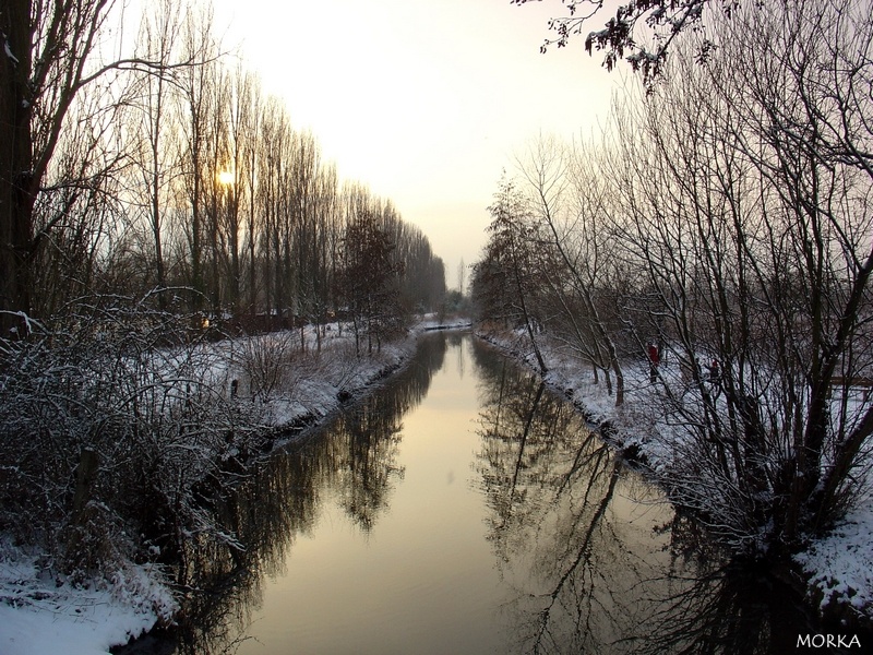 Ollainville sous la neige