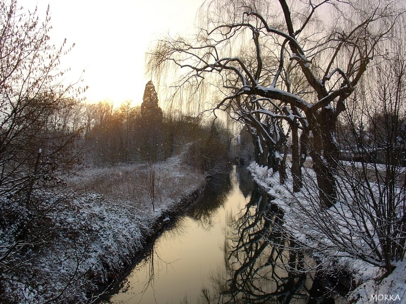 Ollainville sous la neige