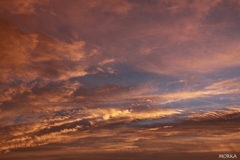 Lever de soleil à Ollainville