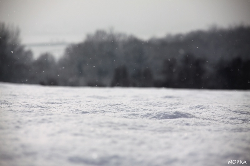 Ollainville sous la neige