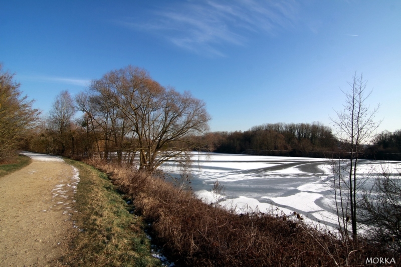 Lac d'Ollainville gelé