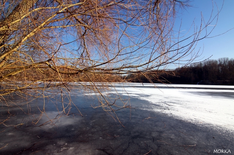 Lac d'Ollainville gelé