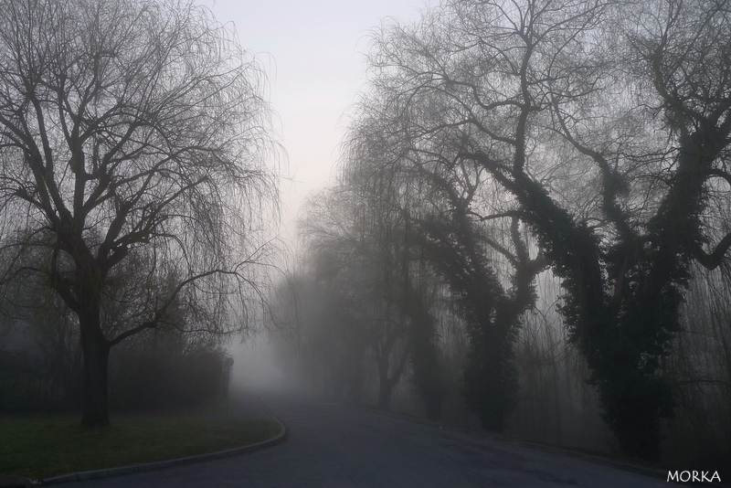 Brouillard sur Ollainville