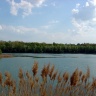 Lac d'Ollainville