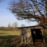 Cabane en bois