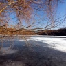 Lac d'Ollainville gelé