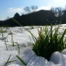 Snow in Jardin des Plantes, Paris