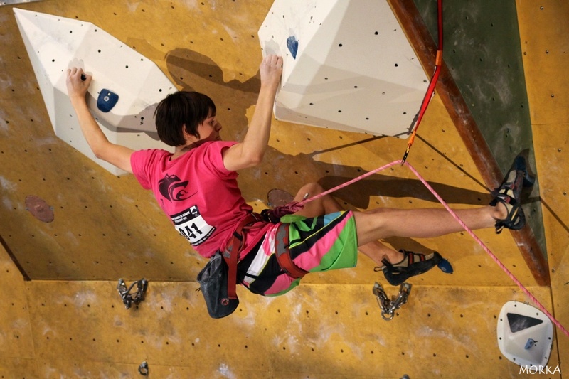 Championnat de France d'escalade 2011, Massy : Finales