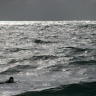 Surfeur à Capbreton