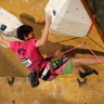 Championnat de France d'escalade 2011, Massy : Finales