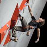 Lead male final - World climbing championship 2012