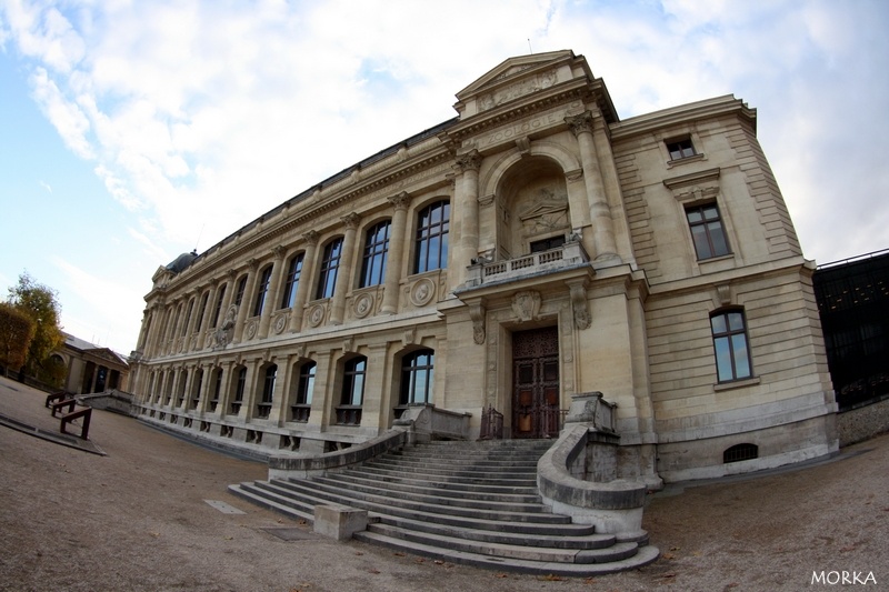 Grande Gallerie de l'Évolution, Paris