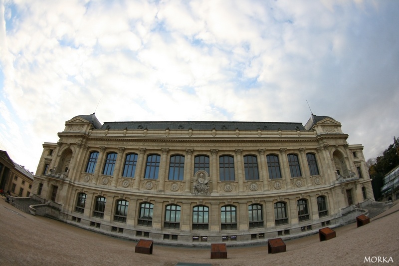 Grande Gallerie de l'Évolution, Paris