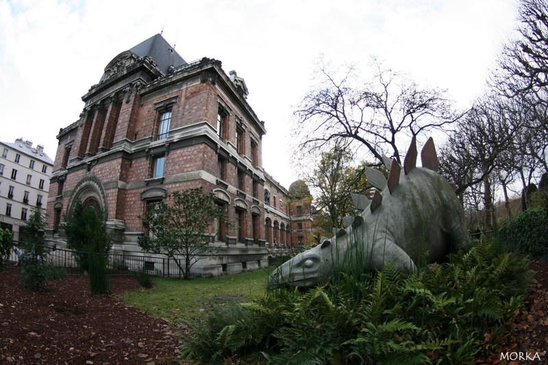 Jardin des plantes, Paris