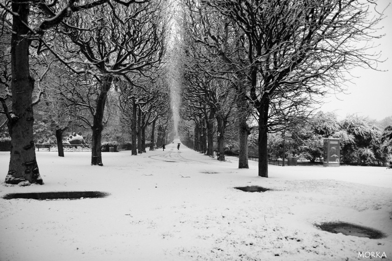 Jardin des plantes sous la neige, Paris