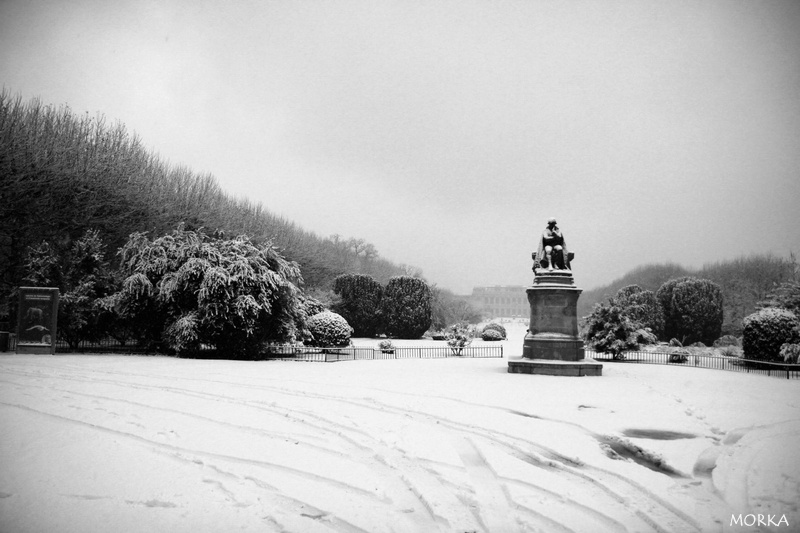 Jardin des plantes sous la neige, Paris