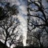 Jardin des plantes, Paris