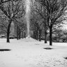 Jardin des plantes sous la neige, Paris