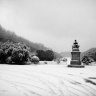 Jardin des plantes sous la neige, Paris