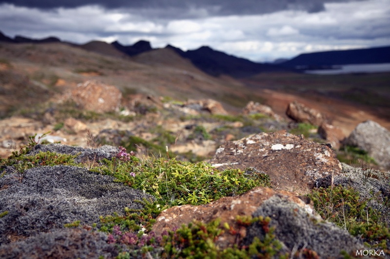 Krýsuvík (Seltún), Islande