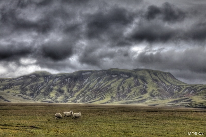 Landmannalaugar, Islande