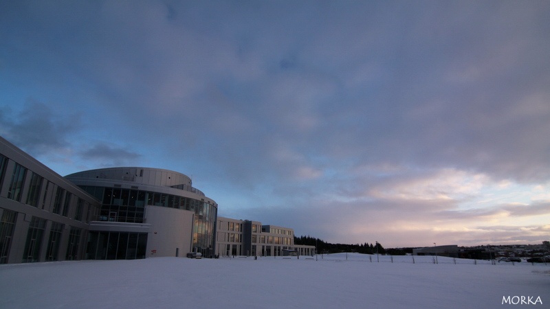 Université de Reykjavík
