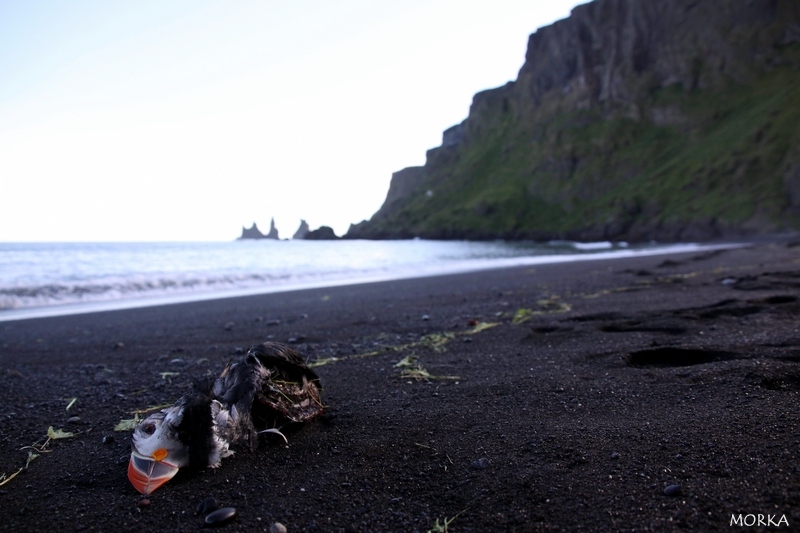 Vík, Islande