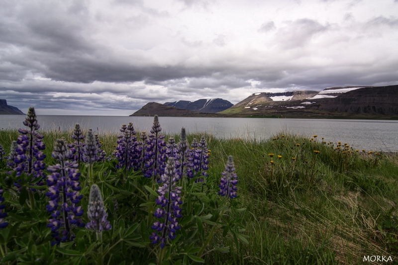 West fjords