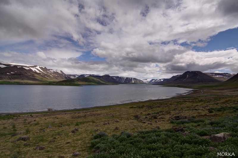 West fjords