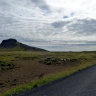 Moutons en Islande