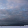 Avion décolant de l'aéroport de Reykjavík