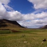 Icelandic sheeps